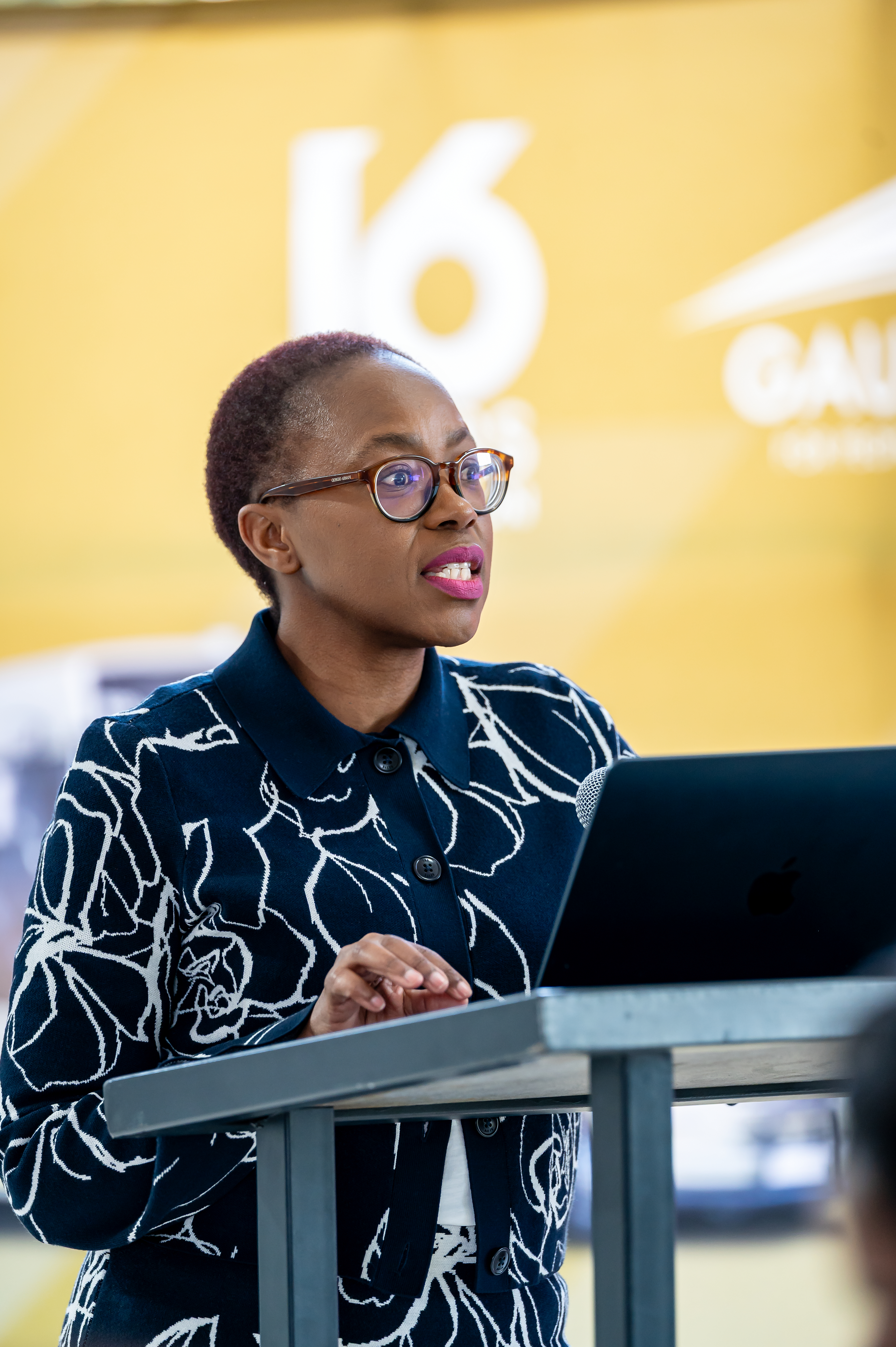 Gautrain-1-12.jpg