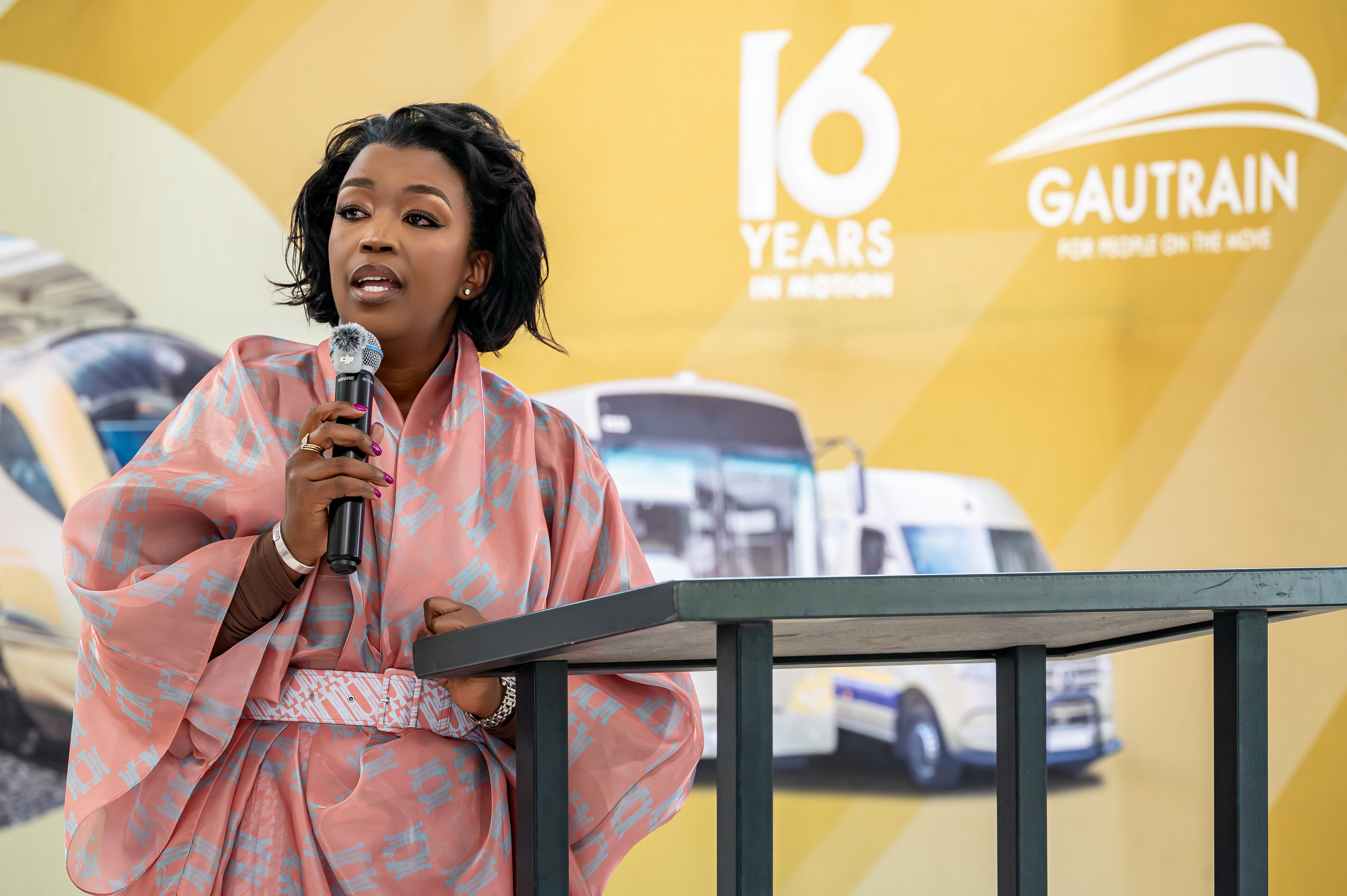Gautrain-1-25.jpg