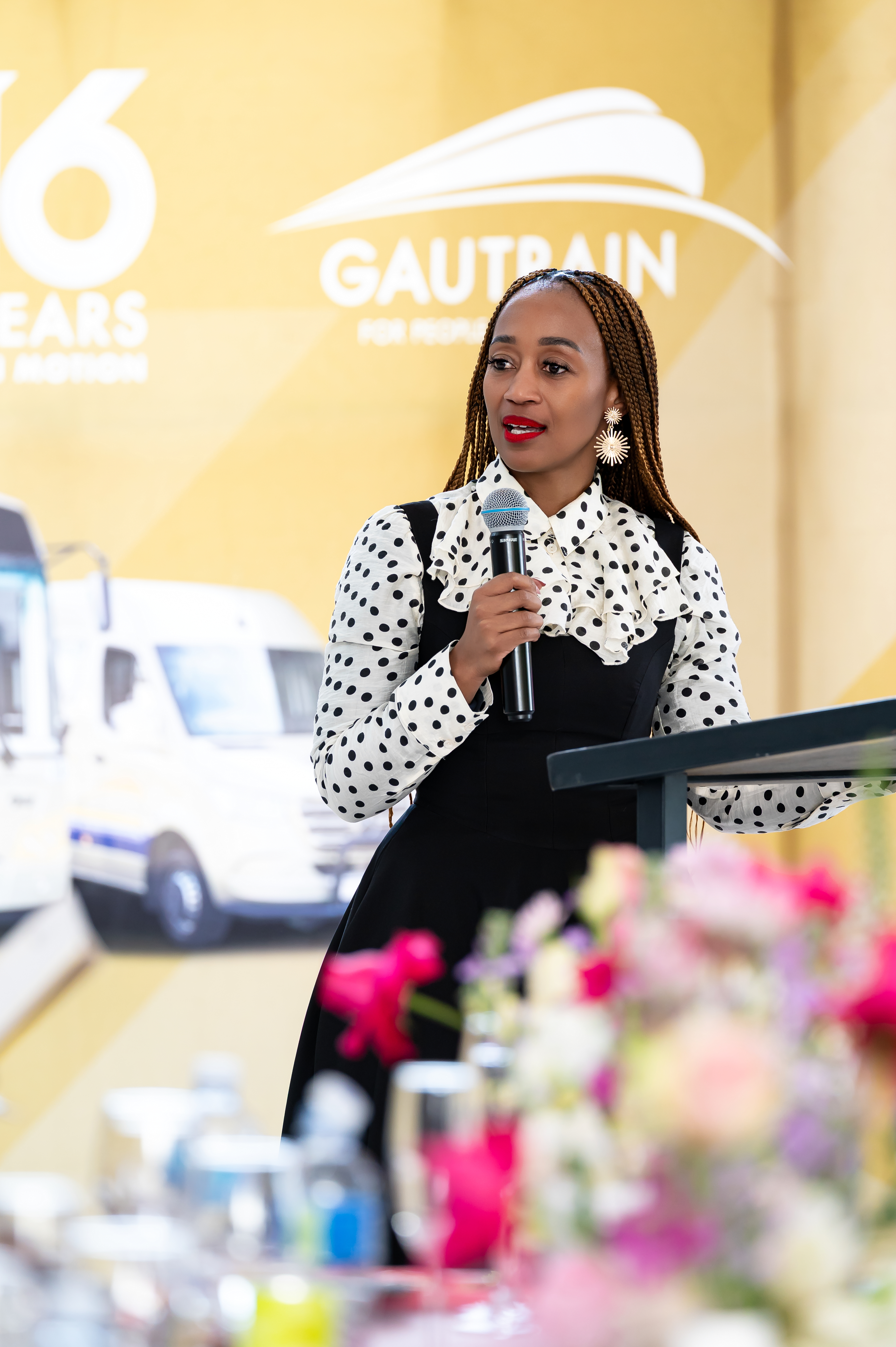 Gautrain-1-56_(2).jpg